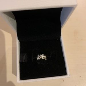 Pandora charm